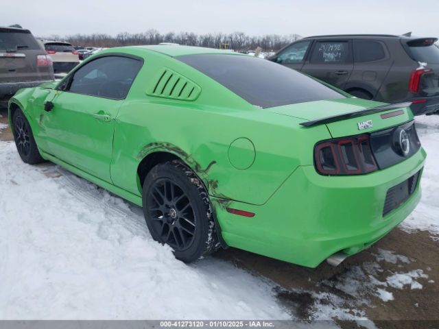 1ZVBP8AM0E5226177 Ford Mustang V6