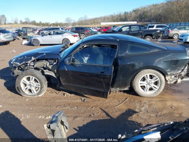 1ZVBP8AM6E5315090 Ford Mustang V6