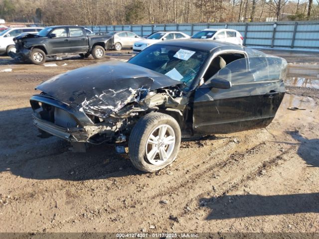 1ZVBP8AM6E5315090 Ford Mustang V6