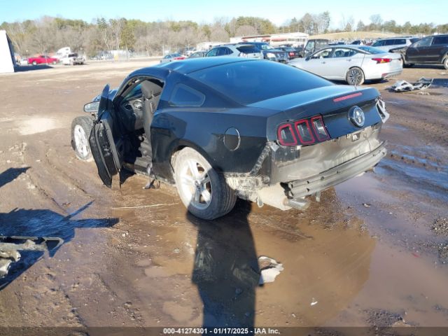 1ZVBP8AM6E5315090 Ford Mustang V6