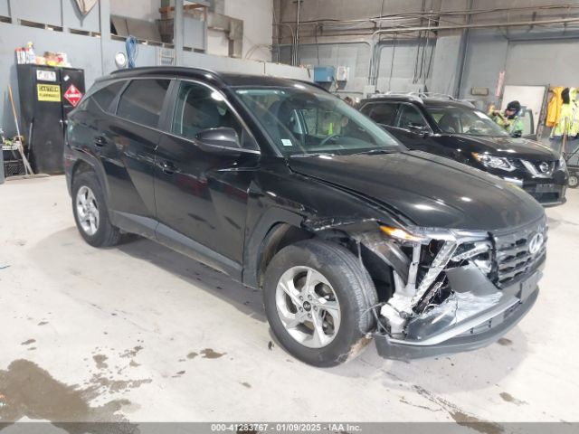 2024 HYUNDAI TUCSON 5NMJBCDEXRH321997