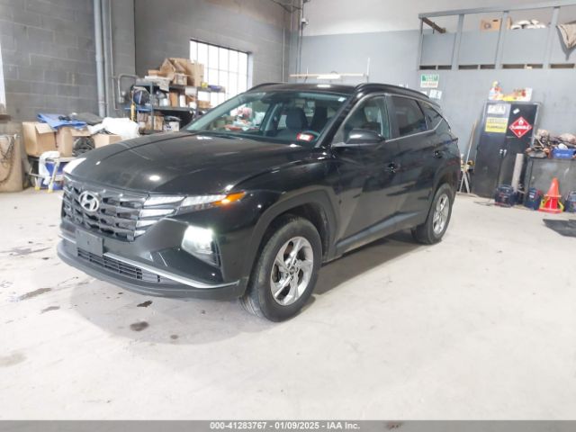 2024 HYUNDAI TUCSON 5NMJBCDEXRH321997 Photo 1