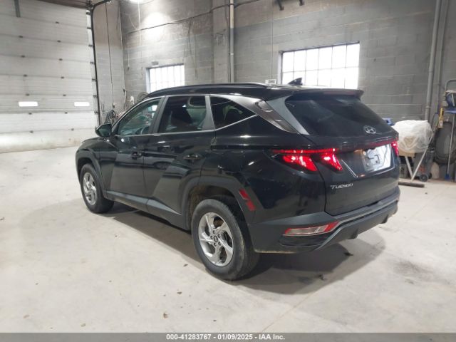 2024 HYUNDAI TUCSON 5NMJBCDEXRH321997 Photo 2