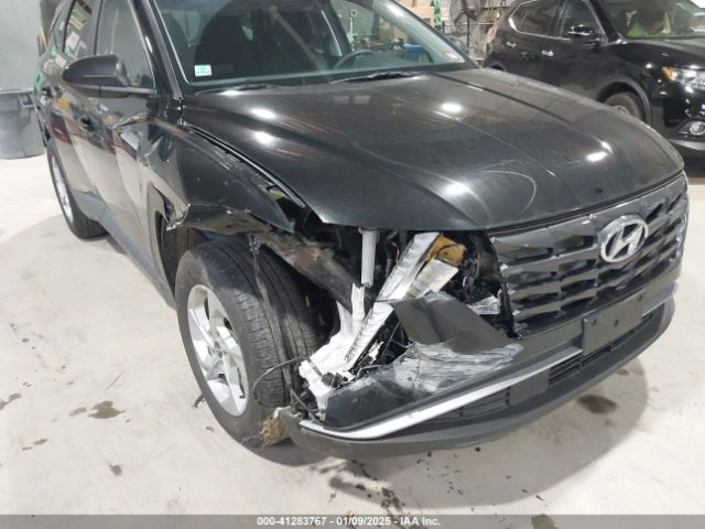 2024 HYUNDAI TUCSON 5NMJBCDEXRH321997 Photo 5