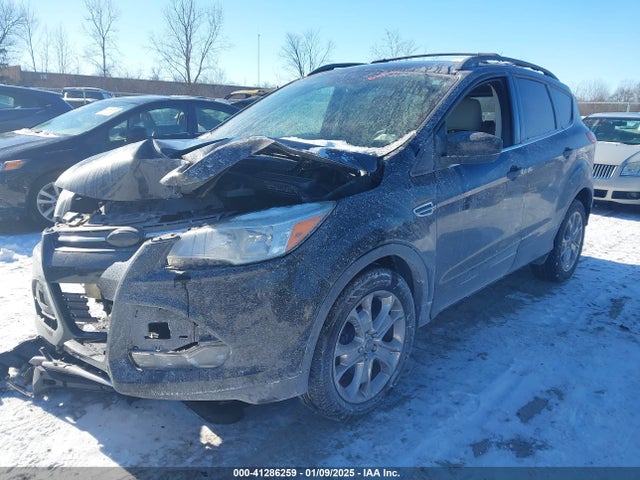 Ford ESCAPE SE 2015 1FMCU0GX7FUC20740 Image 2