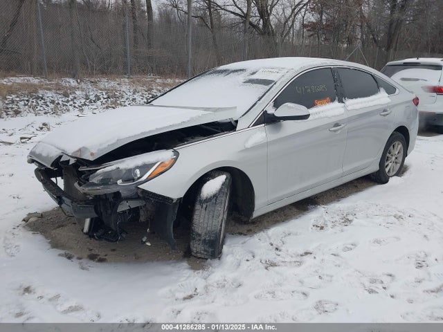 5NPE24AF1KH743704 Hyundai SONATA SE