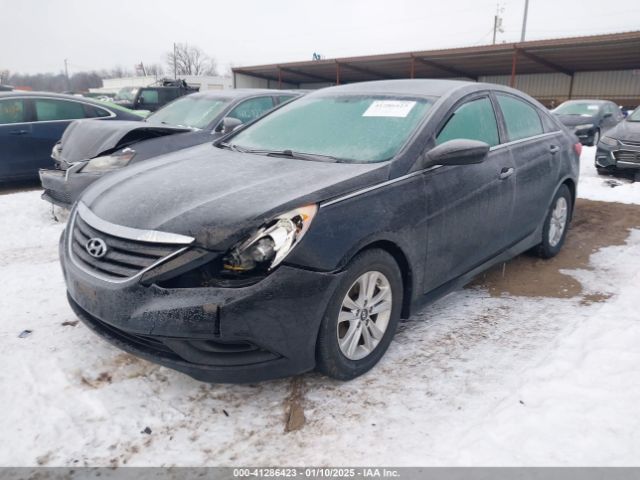 5NPEB4AC9EH906383 Hyundai SONATA GLS