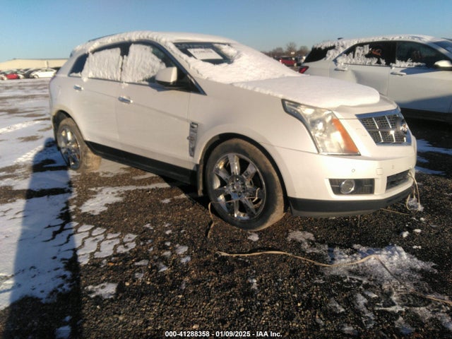 2010 CADILLAC SRX 3GYFNFE4XAS554130 Photo 0