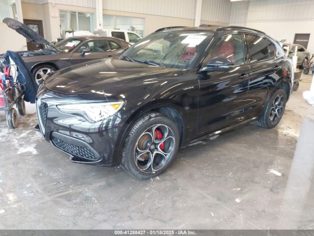 2022 ALFA ROMEO STELVIO ZASPAKBN6N7D28612 Photo 1