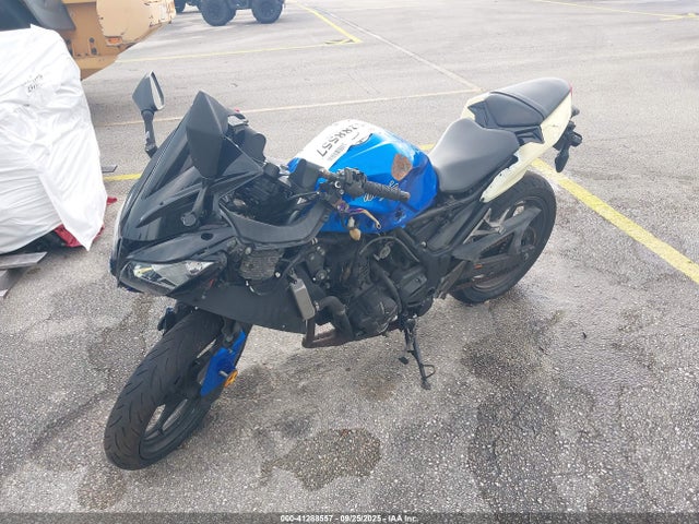 Kawasaki Ninja 300 2017 JKAEX8B18HDA39216 Image 2