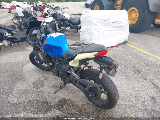 Kawasaki Ninja 300 2017 JKAEX8B18HDA39216 Image 3