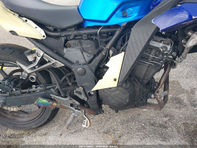 Kawasaki Ninja 300 2017 JKAEX8B18HDA39216 Image 8