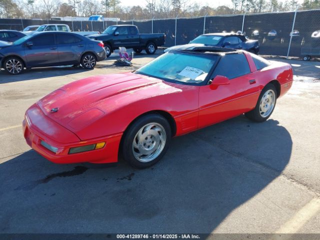 1996 CHEVROLET CORVETTE 1G1YY22P5T5103013 Photo 1