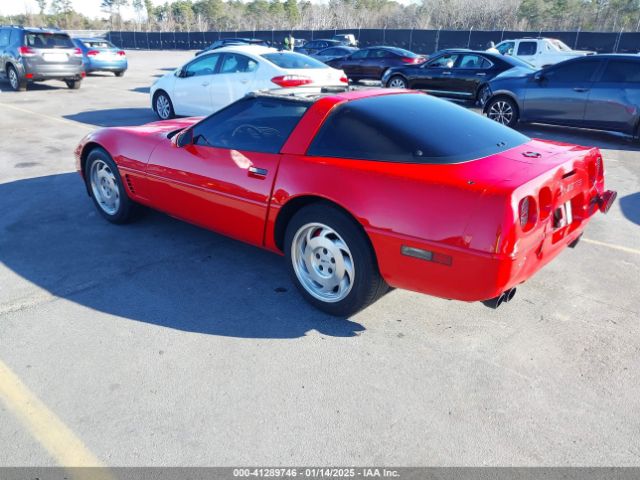1996 CHEVROLET CORVETTE 1G1YY22P5T5103013 Photo 2