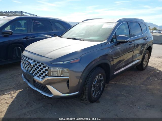 KM8S2DA11NU048538 Hyundai Santa Fe Hybrid Blue