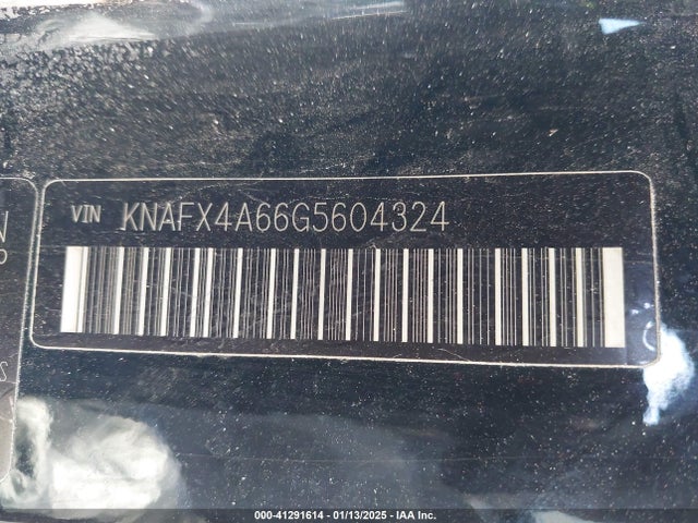KNAFX4A66G5604324 KIA mpi nu