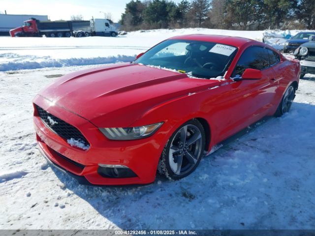 2015 FORD MUSTANG 1FA6P8AM4F5314998 Photo 1