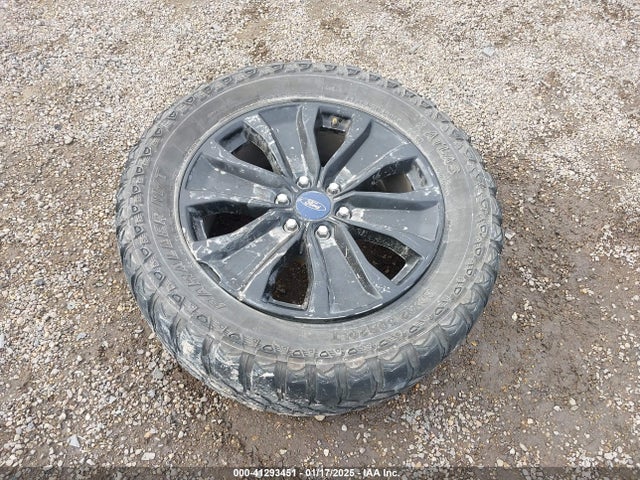 1FTEW1CP1LFB33239 Ford F-150 Xl
