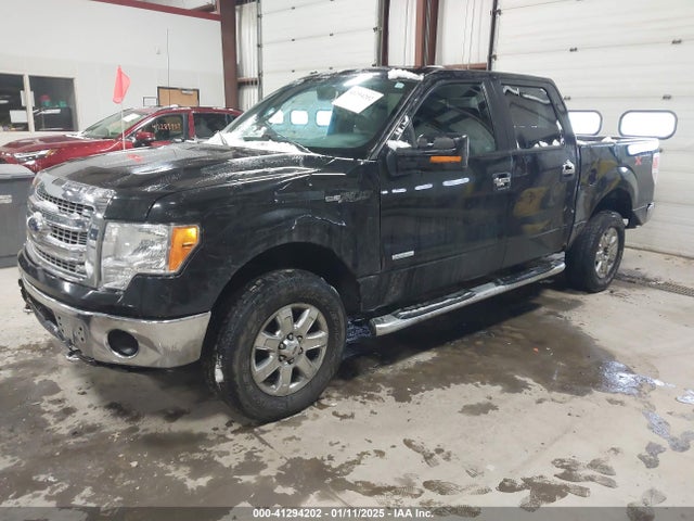 Ford F-150 Xlt 2014 1FTFW1ET1EFB50706 Image 2