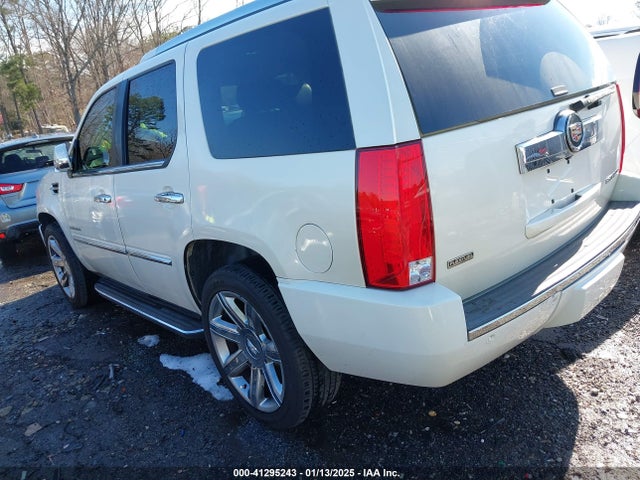 2010 CADILLAC ESCALADE 1GYUCAEF4AR226514 Photo 2