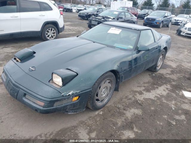1996 CHEVROLET CORVETTE 1G1YY22PXT5110071 Photo 1