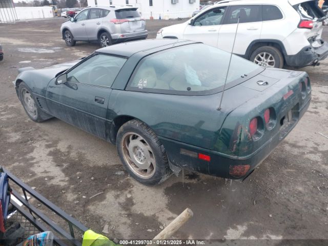 1996 CHEVROLET CORVETTE 1G1YY22PXT5110071 Photo 2