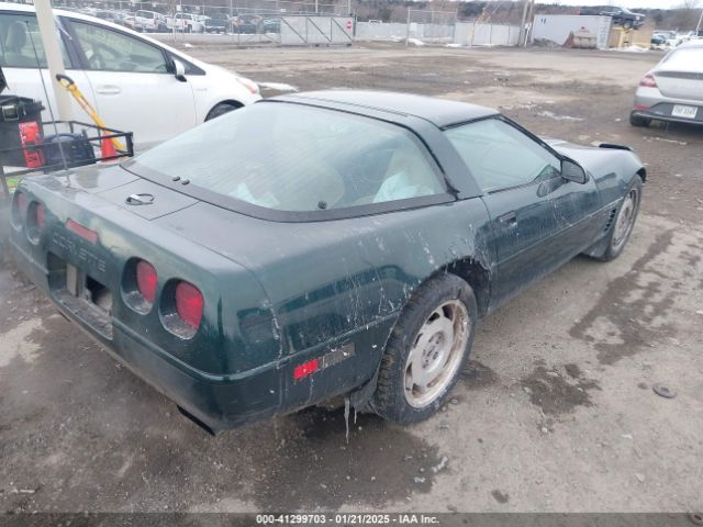 1996 CHEVROLET CORVETTE 1G1YY22PXT5110071 Photo 3