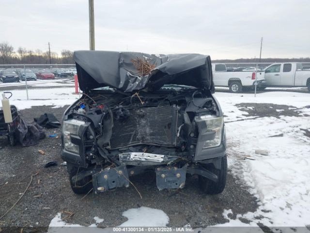 1FTEX1C81GFB09051 Ford F-150 Xl