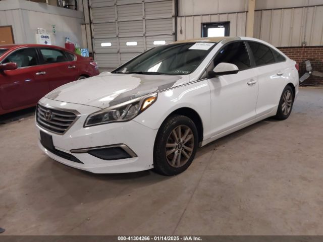 5NPE24AF0HH442429 Hyundai Sonata