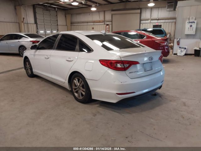 5NPE24AF0HH442429 Hyundai Sonata