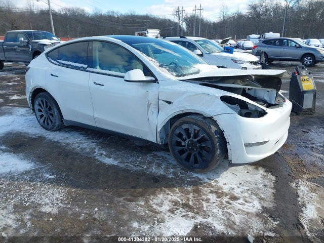 2021 TESLA MODEL Y 5YJYGDEE7MF065381 Photo 0
