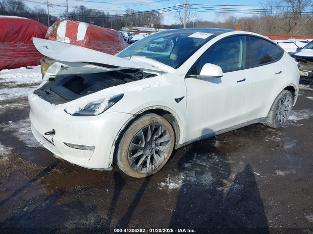 2021 TESLA MODEL Y 5YJYGDEE7MF065381 Photo 1