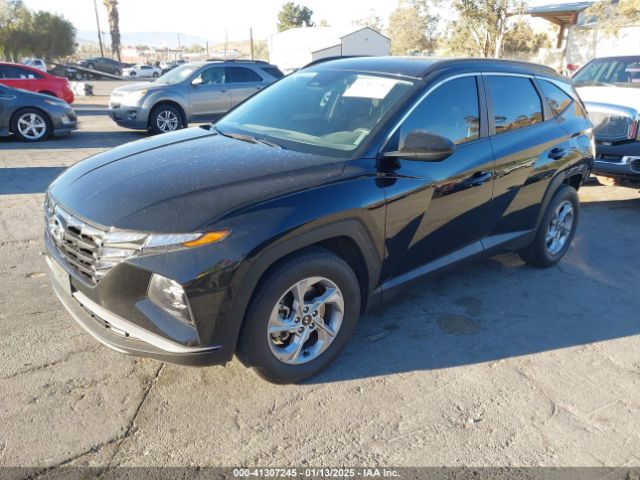 5NMJB3DE6RH320183 Hyundai TUCSON SEL