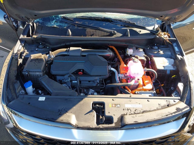 KNDPVCDG9R7173657 KIA Sportage Hybrid Ex