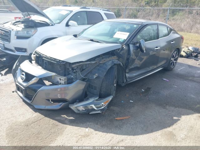 1N4AA6AP1GC905877 Nissan Maxima