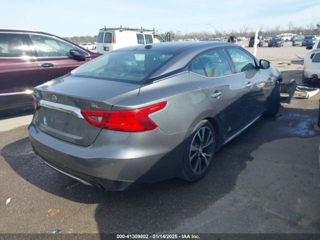 1N4AA6AP1GC905877 Nissan Maxima