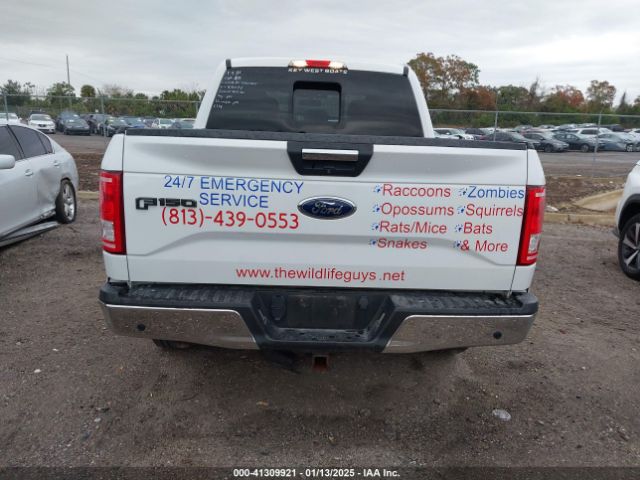 1FTEW1EP6HFB40594 Ford F-150