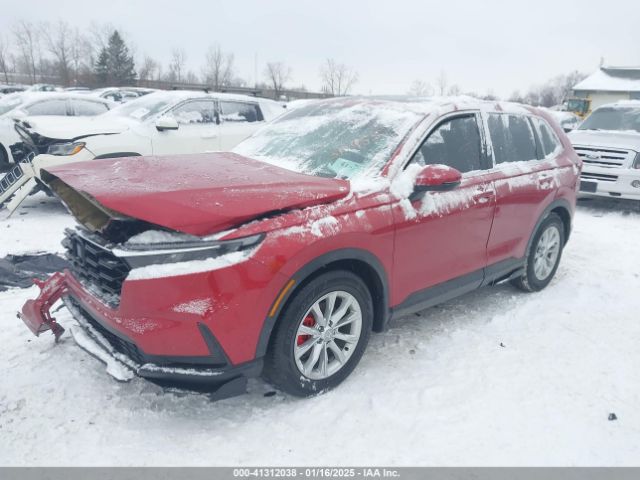 2HKRS3H42RH318955 Honda Cr-v Ex 2wd