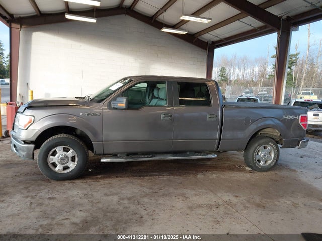 Ford F-150 Xlt 2014 1FTFW1EF5EKG10208 Image 14