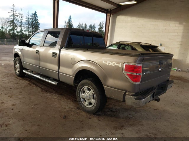 Ford F-150 Xlt 2014 1FTFW1EF5EKG10208 Image 3