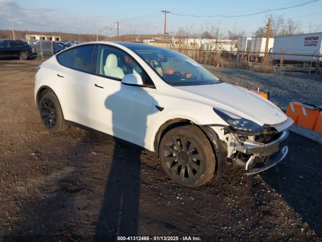 2024 TESLA MODEL Y 7SAYGDED5RF010087