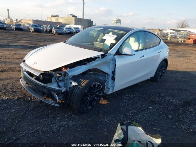 2024 TESLA MODEL Y 7SAYGDED5RF010087 Photo 1