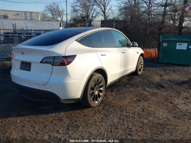 2024 TESLA MODEL Y 7SAYGDED5RF010087 Photo 3