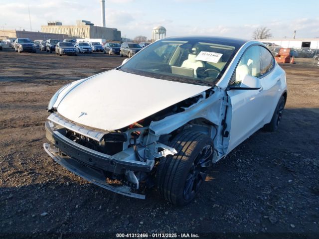 2024 TESLA MODEL Y 7SAYGDED5RF010087 Photo 5