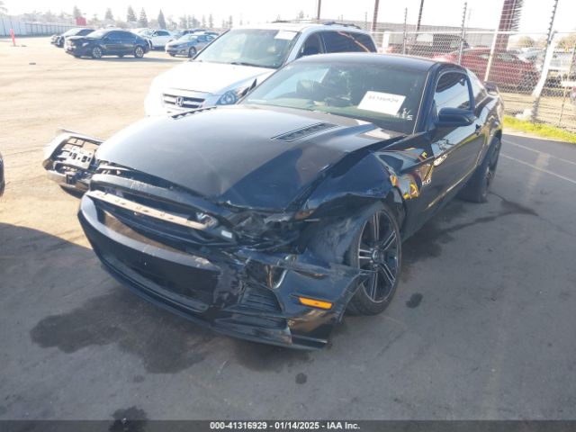 1ZVBP8CF5E5205081 Ford MUSTANG GT