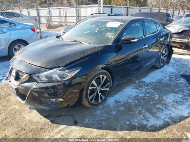 1N4AA6APXJC385699 Nissan Maxima 3.5 Platinum