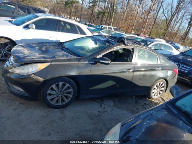 5NPEC4AC6EH813771 Hyundai Sonata Limited