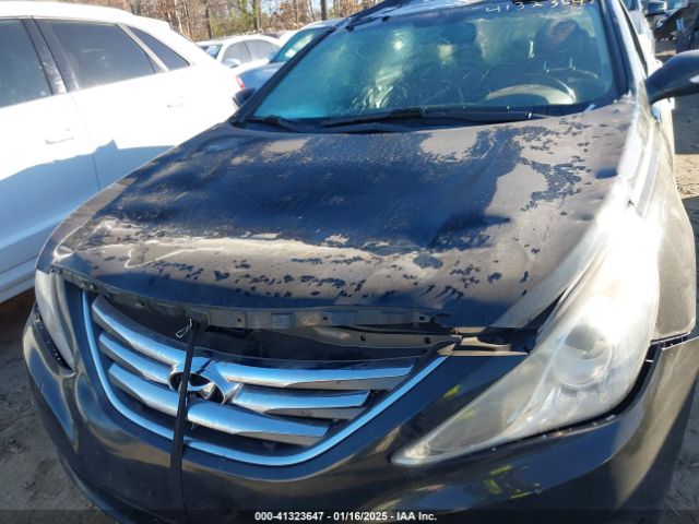 5NPEC4AC6EH813771 Hyundai Sonata Limited