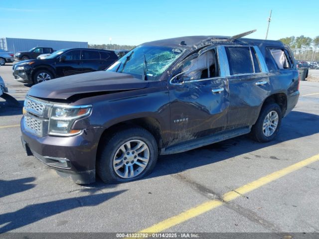 1GNSCAKC1FR262411 Chevrolet Tahoe Ls