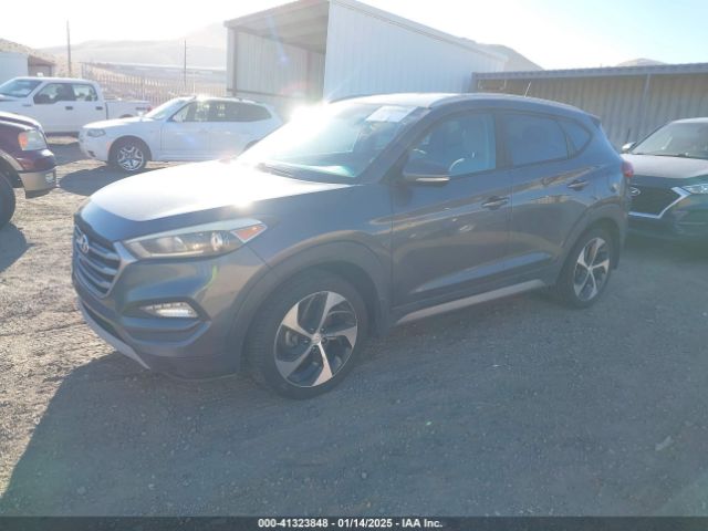 KM8J3CA22HU355572 Hyundai Tucson Sport